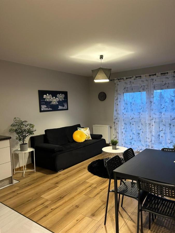 Gingerbread Apartment Torun Bagian luar foto