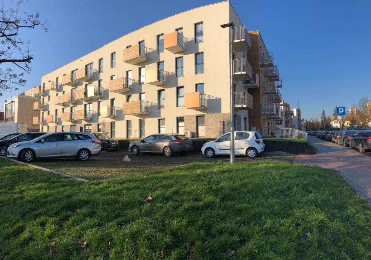 Gingerbread Apartment Torun Bagian luar foto